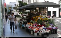 Photo by airtrainer | San Francisco  flowers, union square